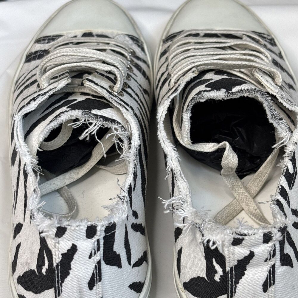 Saint Laurent Paris Zebra Print Low Top Sneakers Canvas Shoes New Box Dust Bag - Picture 14 of 16